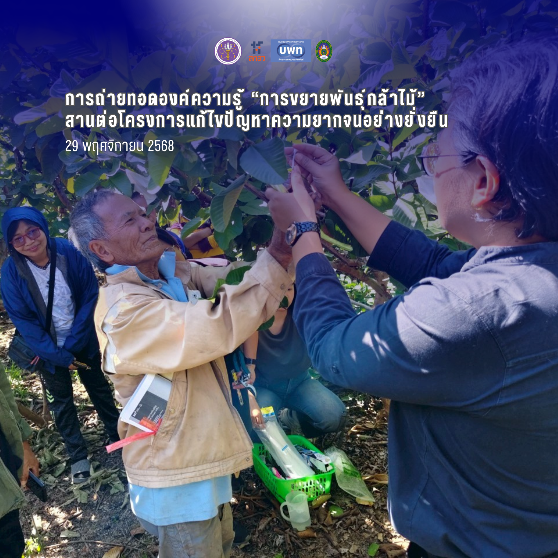 ภาพประกอบ